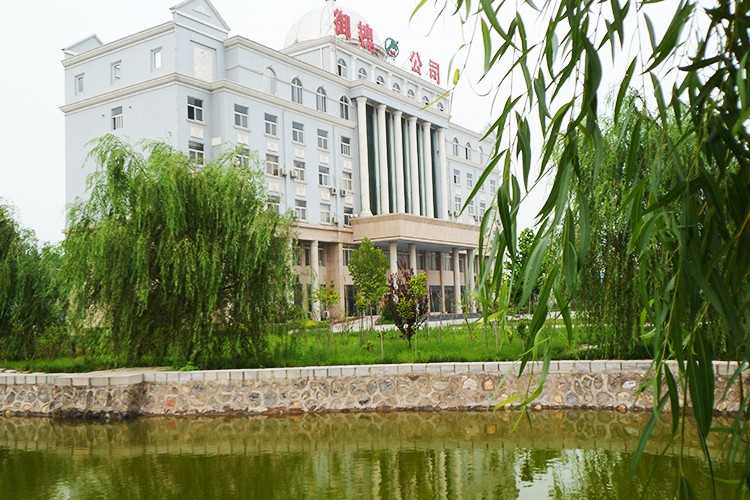 公司环境
