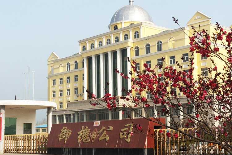 公司环境